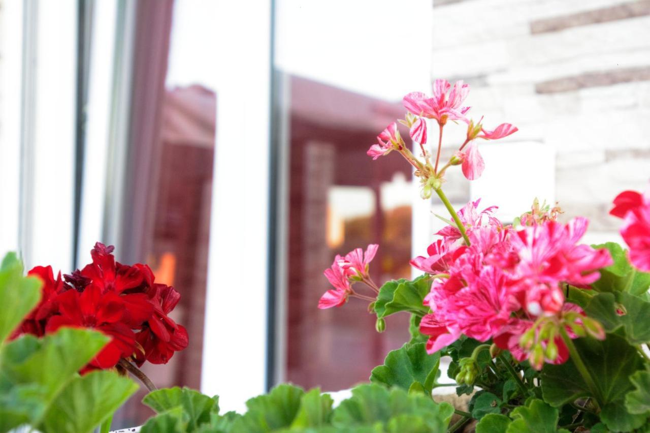 Spiridoula'S Apartments Corfu ペラマ エクステリア 写真